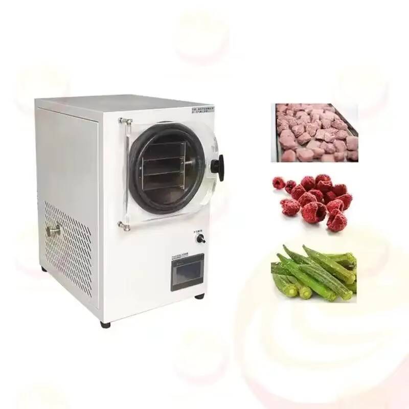 Vriesdroogmachine Kleine vacuü - Vacuum Chamber Small recensie en prijs
